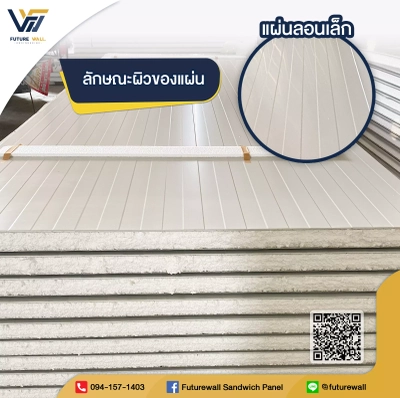 แผ่นสำเร็จรูปโฟมขาว (PS) Future Wall Engineering 11
