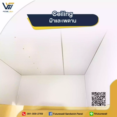 ฝ้าและเพดาน (Ceiling) Future Wall Engineering 1